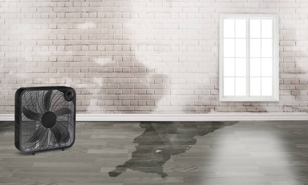 24/7 water damage repair in China Lake Acres, CA