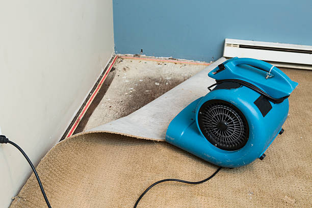 Best Emergency water damage restoration  in China Lake Acres, CA